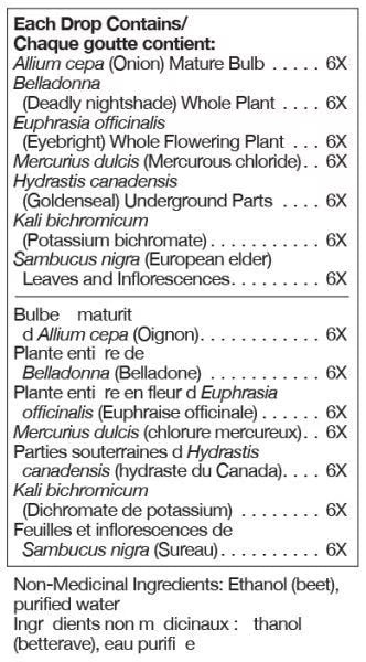 UNDA Allium Cepa Plex