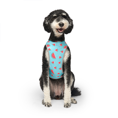 Canada Pooch - Cooling Vest Watermelon
