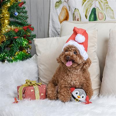 HugSmart: Super Ball Happy Woofmas - Penguin