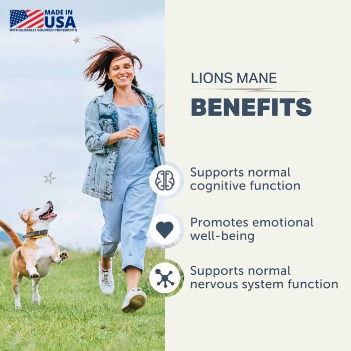 Four Leaf Rover - Lion's Mane Mushroom - Woofur Natural Pet Products