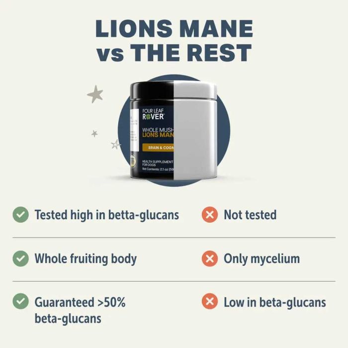Four Leaf Rover - Lion's Mane Mushroom - Woofur Natural Pet Products