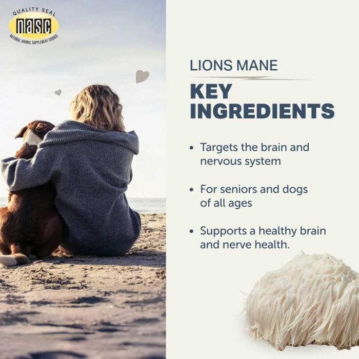 Four Leaf Rover - Lion's Mane Mushroom - Woofur Natural Pet Products