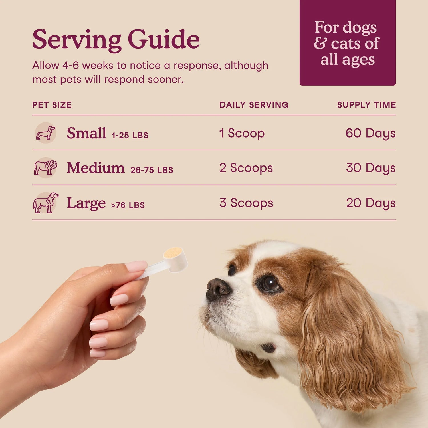 Fera Pets - Bladder Support