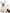 Animal Wellness Consultation: Homeopathy (via Zoom)
