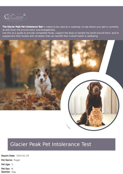 GPH - Pet Wellness Life Stress Scan