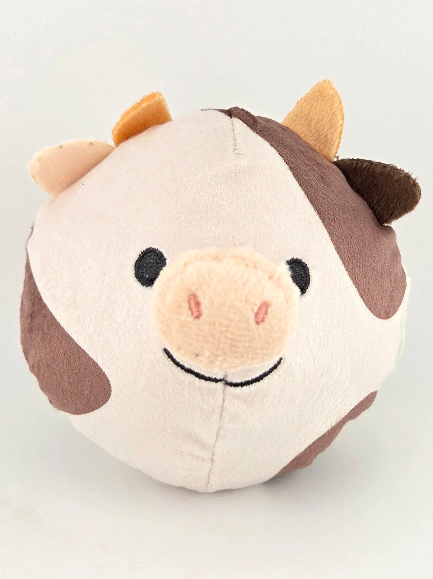 NuWoof Sniff & Seek Blind Box – Treat Collection