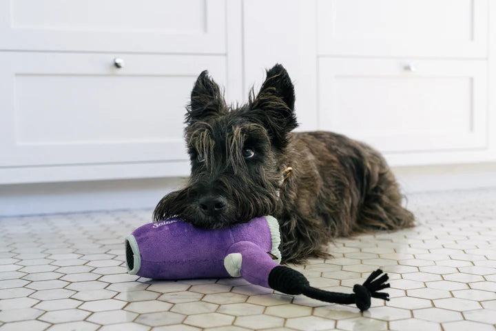 P.L.A.Y. - Splish Splash - Howlin' Hair Dryer