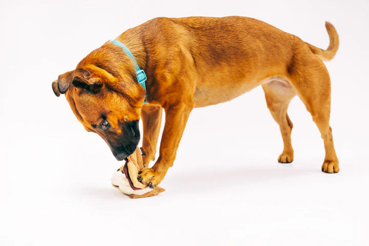 P.L.A.Y. - Camp Corbin - Gimme S'more