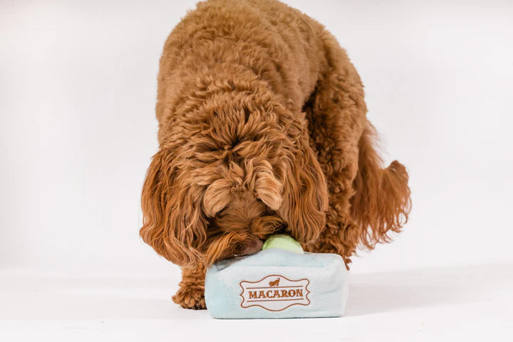 P.L.A.Y. - Pup Cup Cafe - Mutt-a-rons