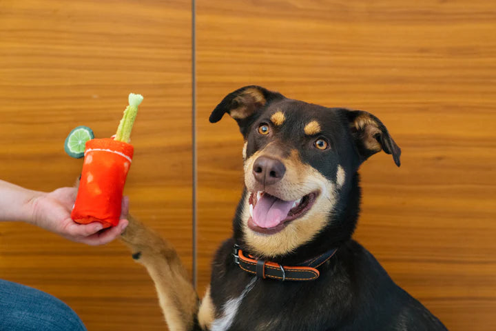 P.L.A.Y. -  Barking Brunch - Buddy Mary