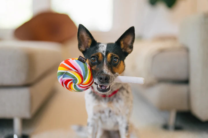 P.L.A.Y. - Snack Attack - Lollipup