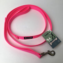 Load image into Gallery viewer, Smoochy Poochy - 5/8&quot; x 6 ft. Standard Nylon Leash