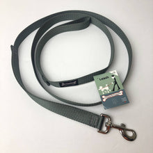 Load image into Gallery viewer, Smoochy Poochy - 5/8&quot; x 6 ft. Standard Nylon Leash