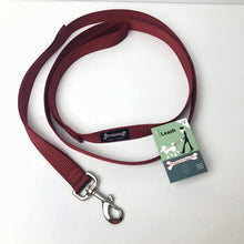 Load image into Gallery viewer, Smoochy Poochy - 5/8&quot; x 6 ft. Standard Nylon Leash