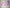 Custom Birthday Banner