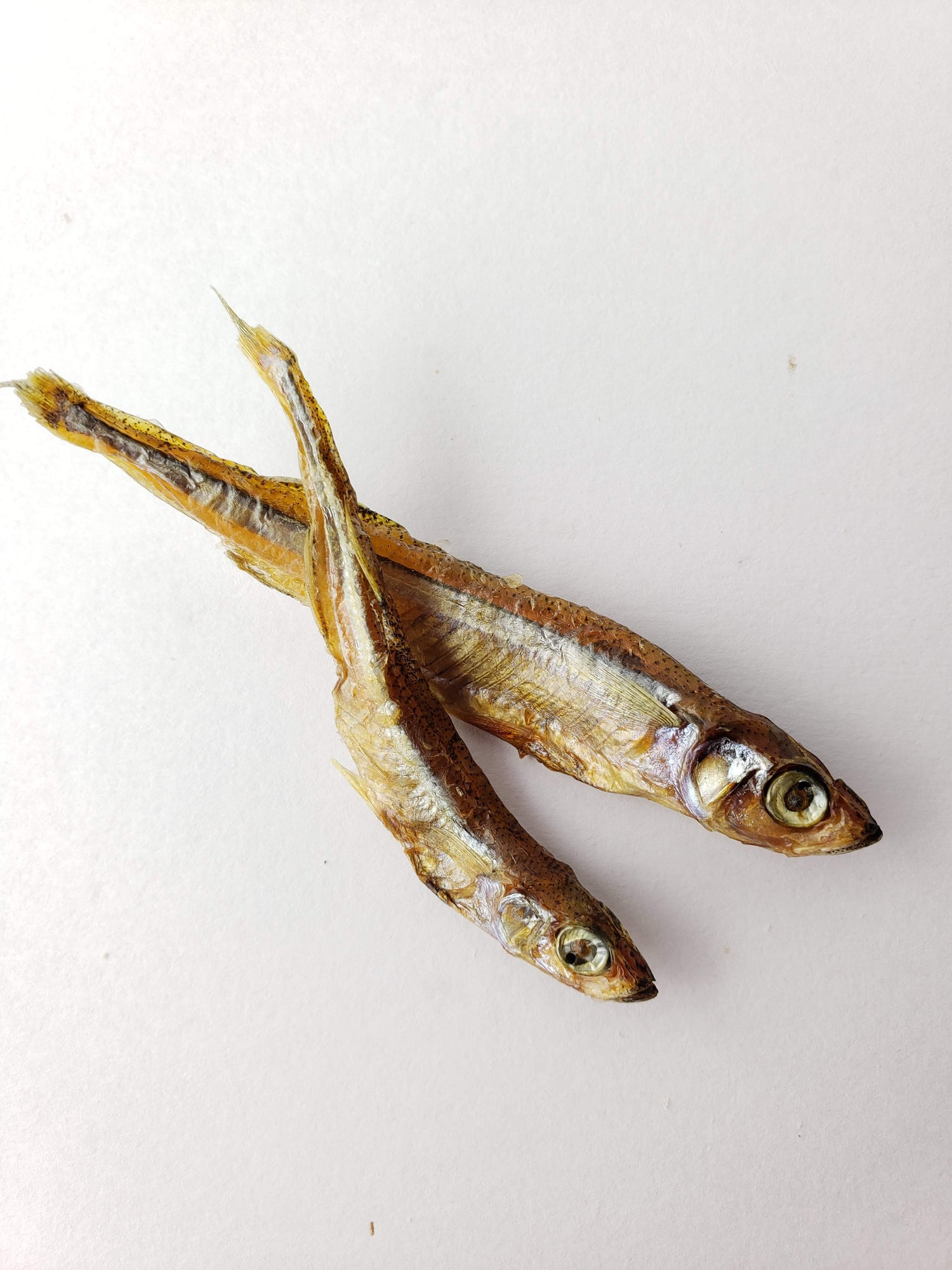 NuWoof - Dehydrated Lake Smelt Treats - 55g