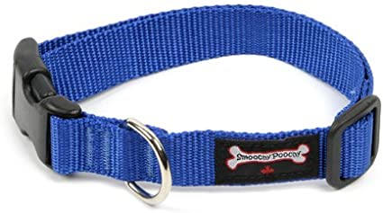 Smoochy Poochy - Nylon XS Collar