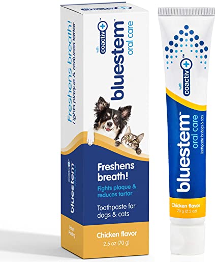 BlueStem - Chicken Flavour Toothpaste - Chubbs Bars, Supplements - pet shampoo, Woofur - Chubbs Bars Company, Woofur Natural Pet Products - Chubbs Bars Canada