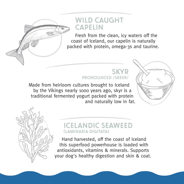 Icelandic+ Fish Bar Capelin & Skyr 2.5oz