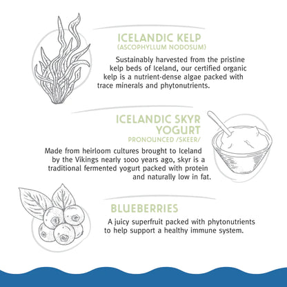 Icelandic+ Fish Bar Kelp & Skyr 2.5oz