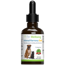Load image into Gallery viewer, Pet Wellbeing - Adrenal Harmony Gold - for Dog Cushing&#39;s | 2oz.