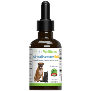 Pet Wellbeing - Adrenal Harmony Gold - for Dog Cushing's | 2oz.