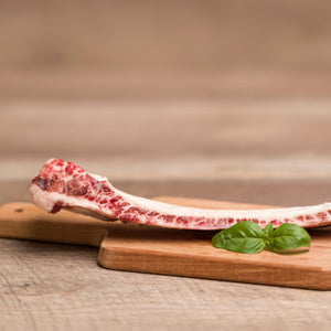 BCR - FLAT RIB RAW BONE - 1pc - Woofur Natural Pet Products