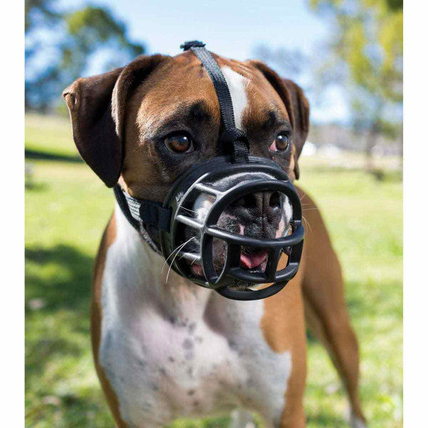 Muzzle for shop a bulldog