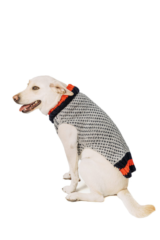 Chilly Dog - Birdseye Wool Dog Sweater