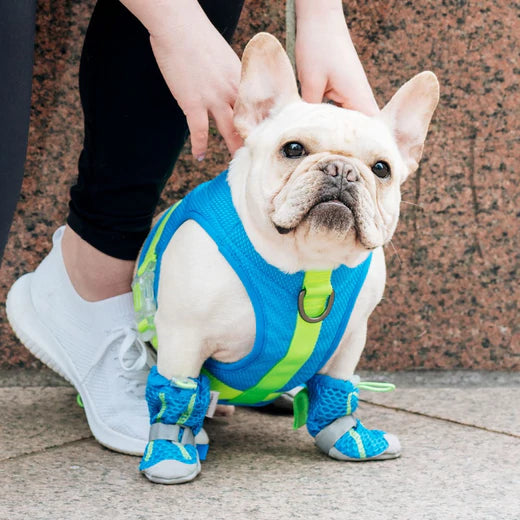 Canada Pooch - Cooling Boots Blue