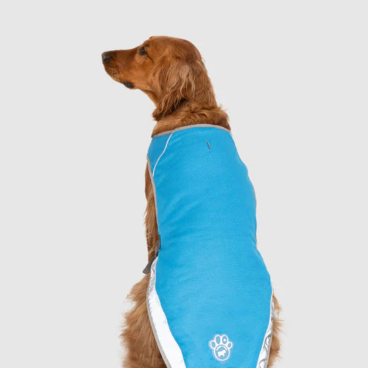 Canada Pooch - Cooling Vest Blue