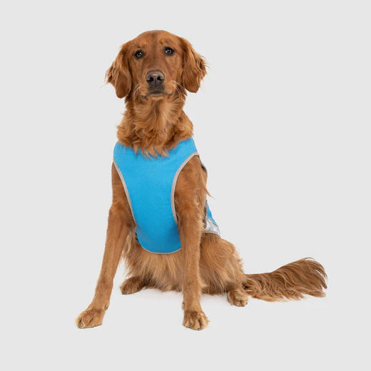 Canada Pooch - Cooling Vest Blue