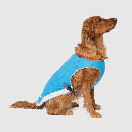 Canada Pooch - Cooling Vest Blue