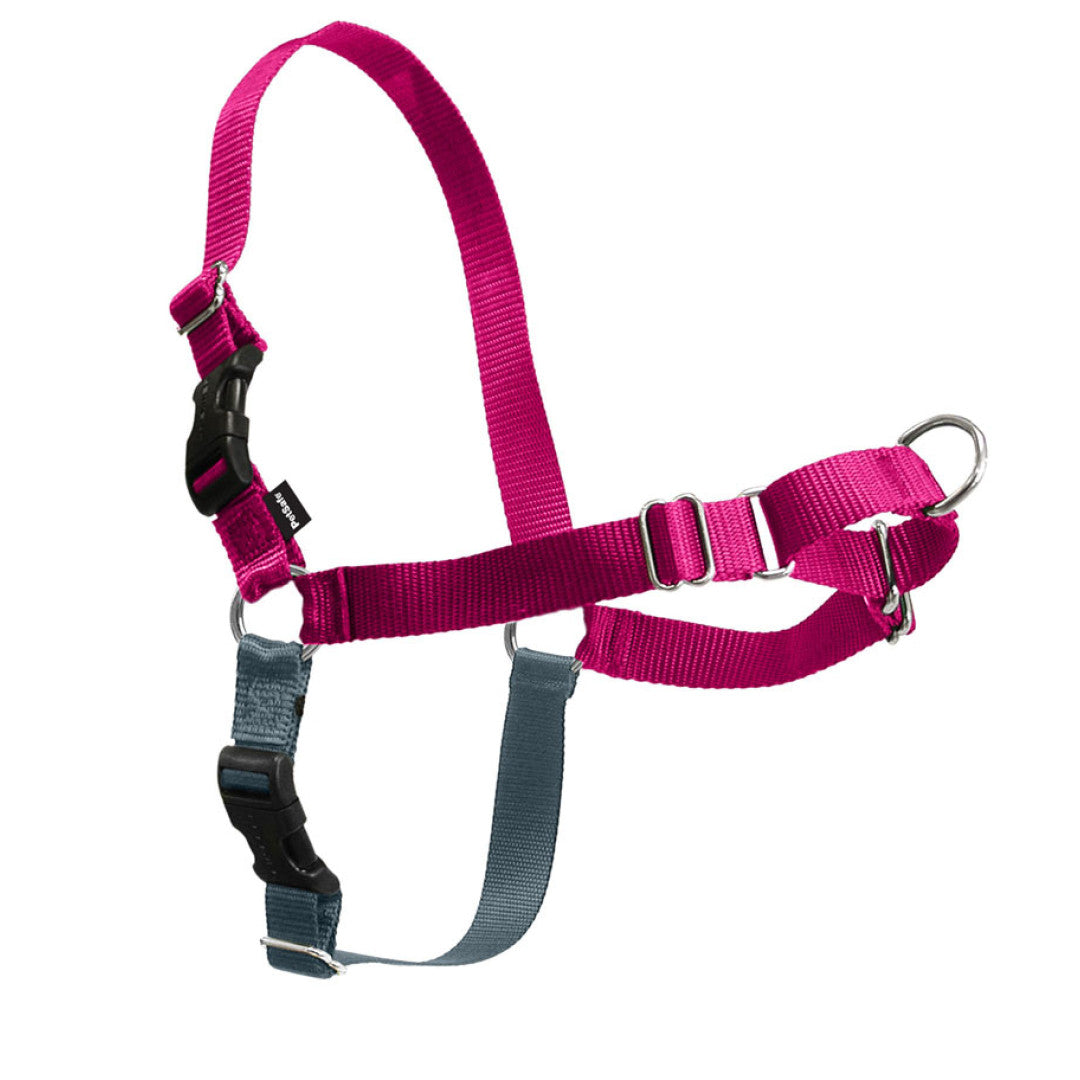 Easy Walk - No Pull Harness - Chubbs Bars, Toys - pet shampoo, Woofur - Chubbs Bars Company, Woofur Natural Pet Products - Chubbs Bars Canada
