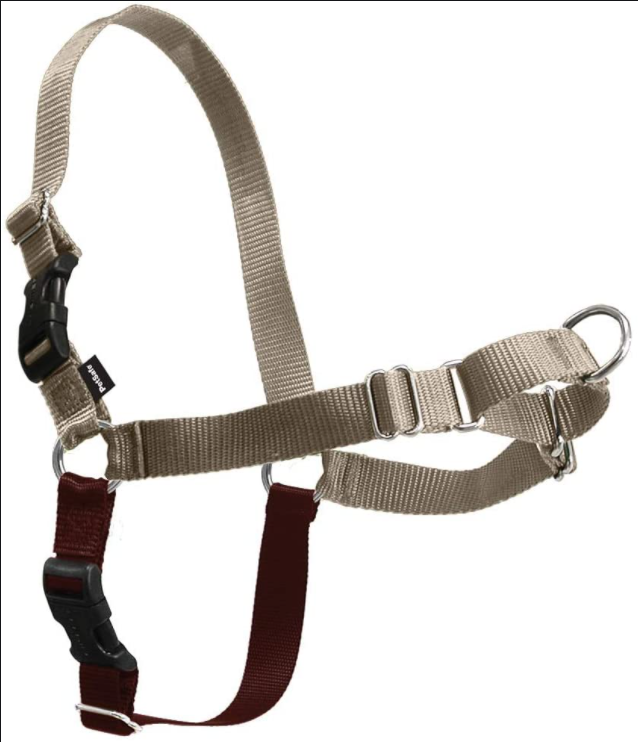 Easy Walk - No Pull Harness