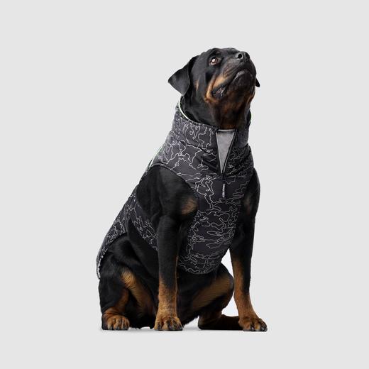 Canada Pooch - Expedition Coat 2.0 (Reflective)