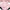 FouFouDog - Pink Camo Reversible Jacket