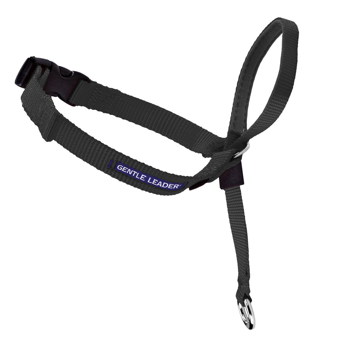 Easy Walk - Headcollar Harness - Chubbs Bars, Toys - pet shampoo, Woofur - Chubbs Bars Company, Woofur Natural Pet Products - Chubbs Bars Canada