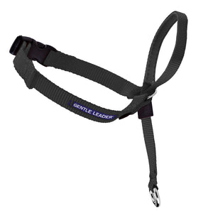 Easy Walk - Headcollar Harness - Chubbs Bars, Toys - pet shampoo, Woofur - Chubbs Bars Company, Woofur Natural Pet Products - Chubbs Bars Canada