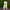 Canada Pooch - Grow-With-Me-Raincoat Yellow