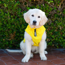 Load image into Gallery viewer, Canada Pooch - Grow-With-Me-Raincoat Yellow