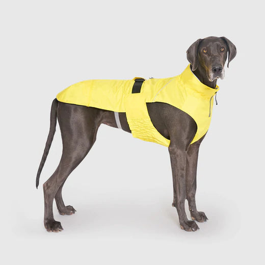 Canada Pooch - Grow-With-Me-Raincoat Yellow