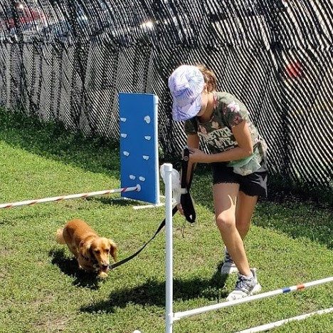 Summer Camp - Bring My Own Dog Option