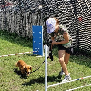 Summer Camp - Bring My Own Dog Option
