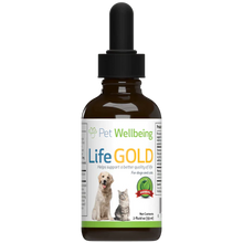 Load image into Gallery viewer, Pet Wellbeing - Life Gold - Trusted Care for Dog Cancer |  2oz.