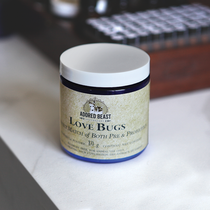 ADORED BEAST - LOVE BUGS - Woofur Natural Pet Products
