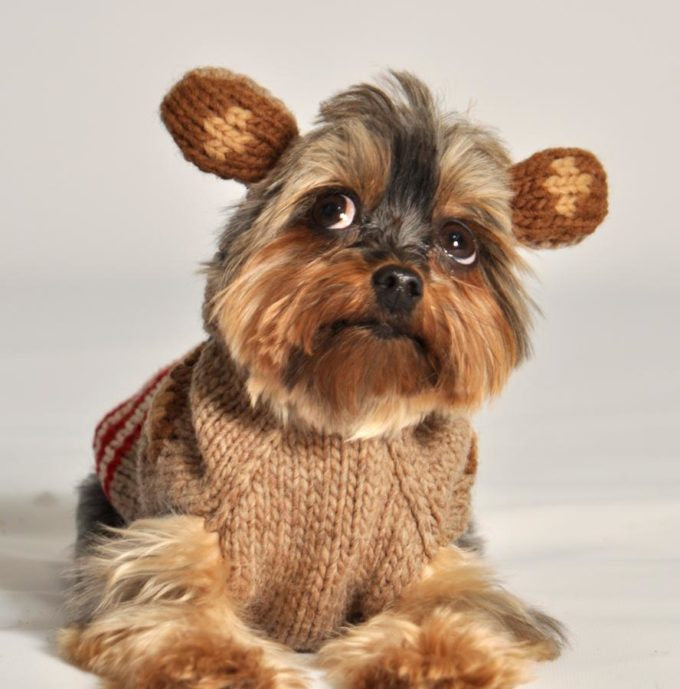 Chilly Dog - Hand Knit Wool Monkey Hoodie Dog Sweater