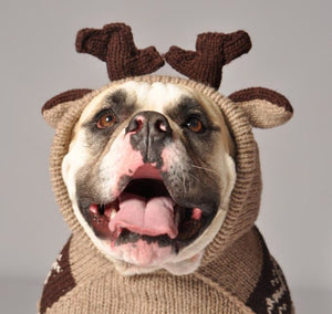 Chilly Dog - Hand Knit Wool Dog Sweater Moosey Hoodie