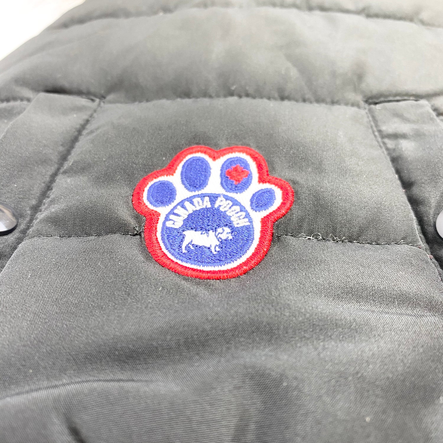 Canada Pooch - North Pole Parka (Black)