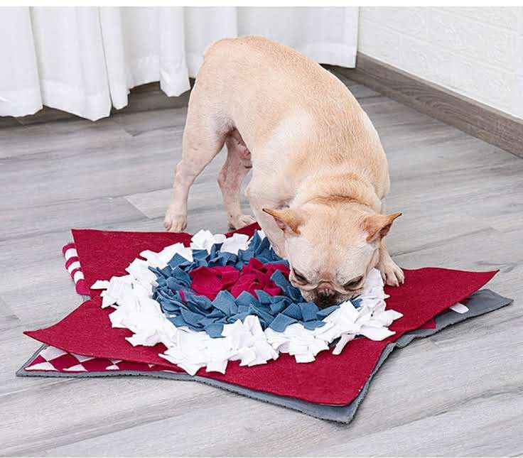 Star Snuffle Mat - Level 3